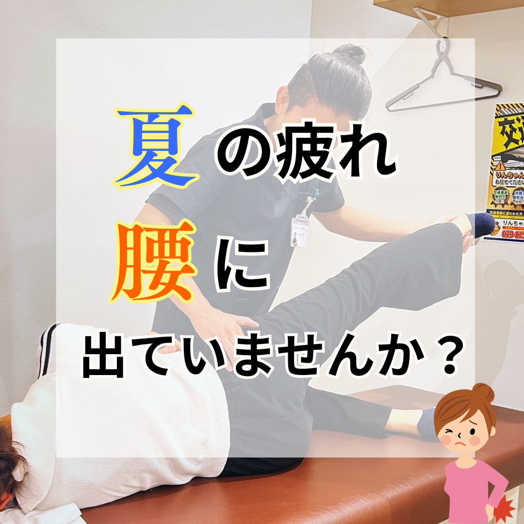 夏の腰痛